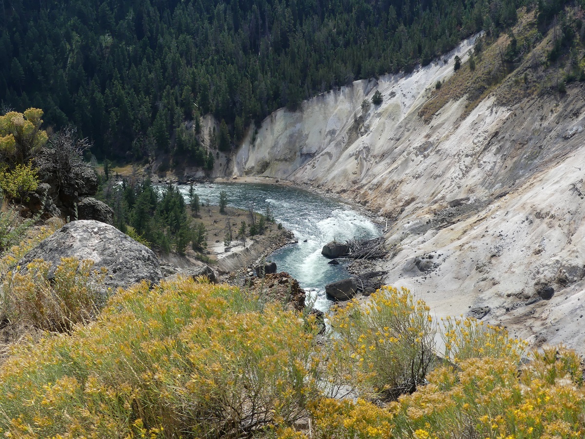 Yellowstone River Picnic Area