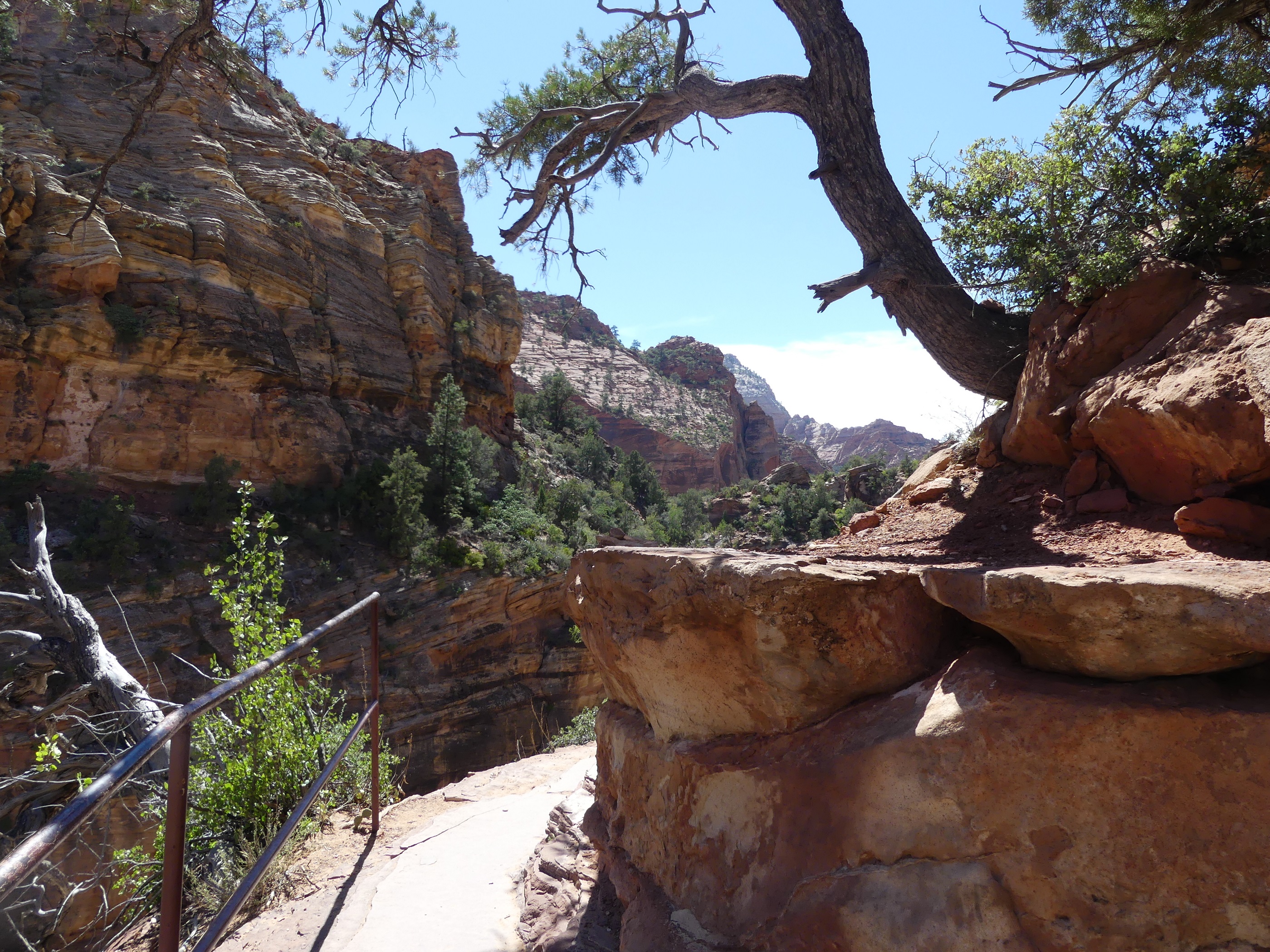 Canyon overlook trail