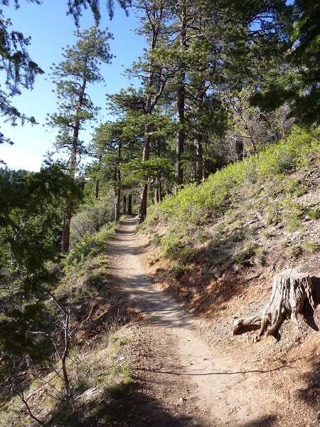 Transept Trail