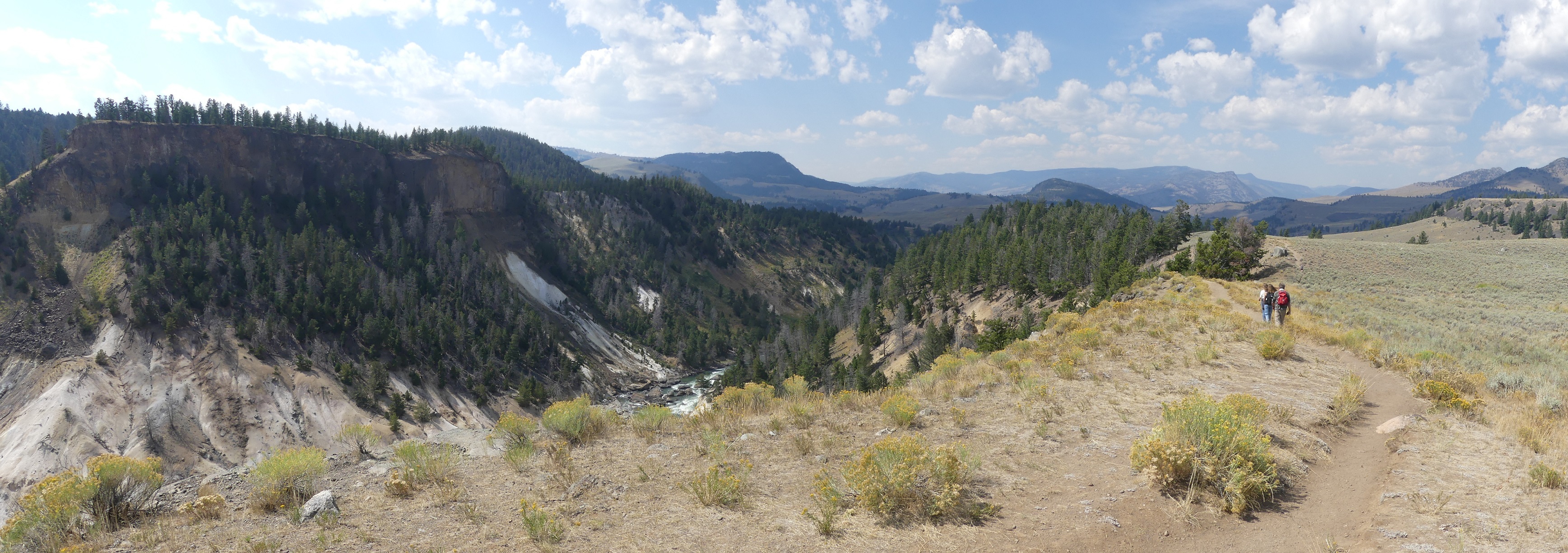 Yellowstone river Picnic Area